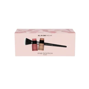 VISO ALL IN ONE - STICK MULTIUSO IN CREMA BLUSH 43 + BRONZER&CONTOUR 51 + STIPPLING BRUSH